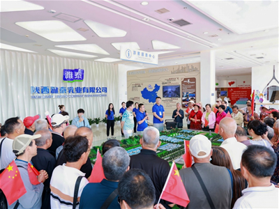 ��Ⱦ���У���������|��̩������һ�����顱�����Ĵ���