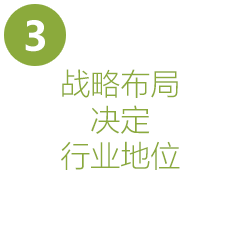 战略布局决定行业地位