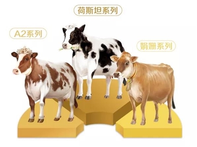 中高端白奶再落一子！现代牧业全新子品牌“三只小牛”，能牛出圈吗？(��ͼ)